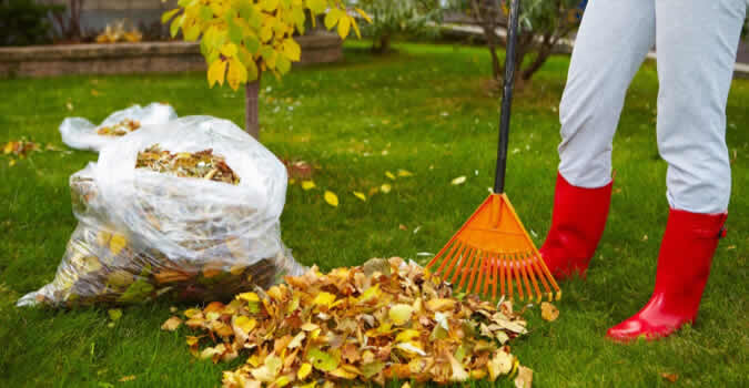 Yard Clean Up Fort Wayne IN Chop Chop Landscaping Fort